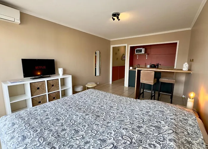 Apartment Eden Scls - Clim, Wifi, Parking Cannes