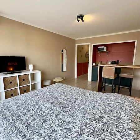 Apartamento Eden Scls - Clim, Wifi, Parking Cannes